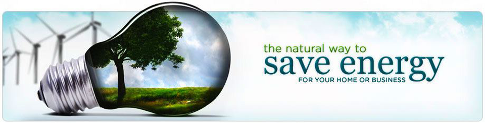 Ecosolaris Magazin
